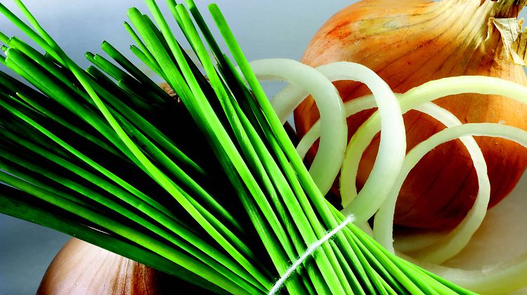 Königliche Geschwister: Ohne Zwiebeln und Schnittlauch geht nichts in der Küche!