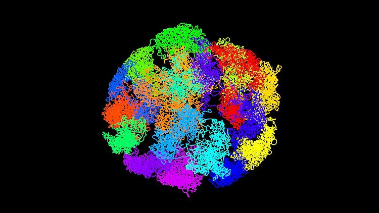 Iintaktes Genom von einer bestimmten embryonalen Mausstammzelle. Jedes der 20 Chromosomen der Zelle ist unterschiedlich gefärbt.