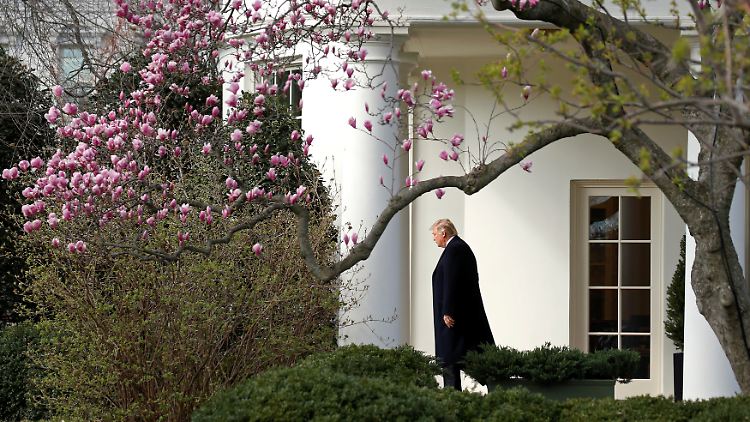 Am Dienstag empfängt Trump Merkel im Weißen Haus.