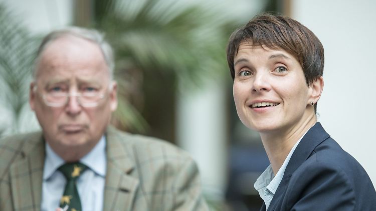 Der Antrag von Parteichefin Frauke Petry erzeugt Streit im Bundesvorstand der Partei.