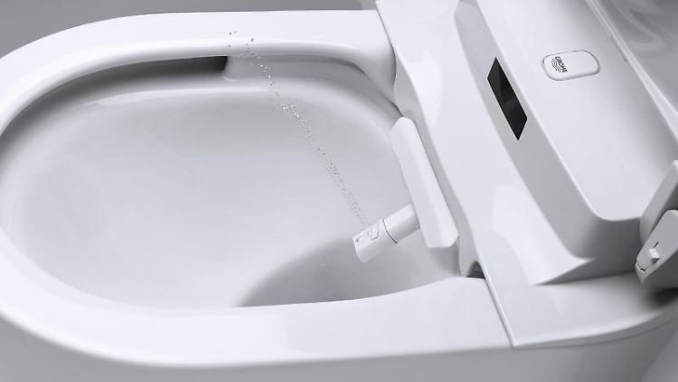 Dusch-WCs sind in vielen Kulturkreisen, insbesondere in Japan, längst der Standard.