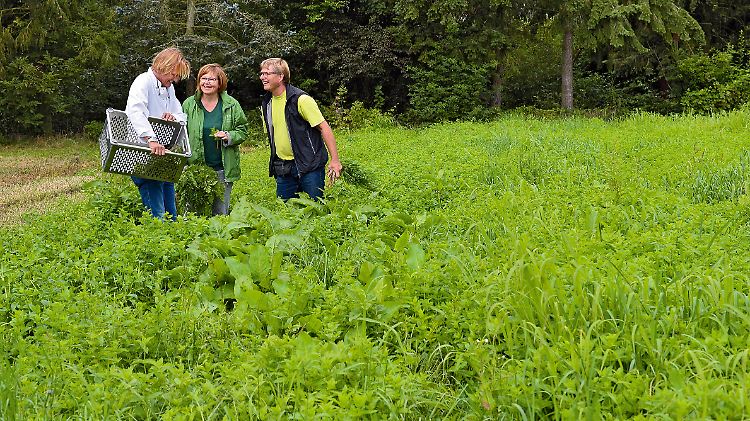 Eine Partnerschaft, mit der sie sich selbst und andere glücklich machen: Frank Buchholz mit seinen Wildkräuter-Lieferanten Petra und Michael Stein.