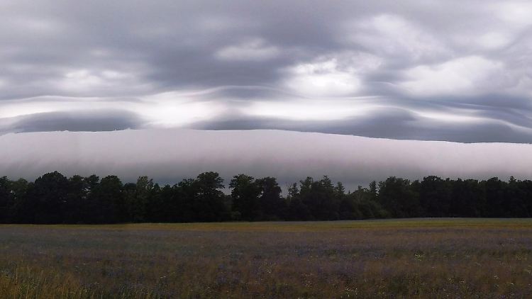 Wolken in einer Stratocumulus-volutus-Formation.
