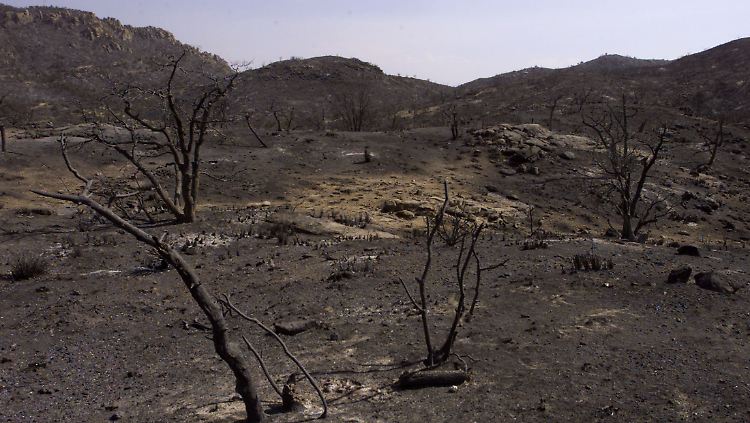 Abgeschieden von der Welt: in der Wüste Arizonas.