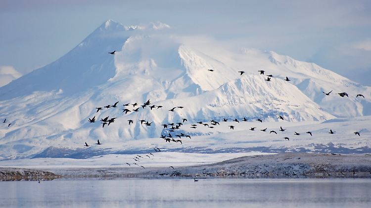 Für 7,2 Millionen US-Dollar verkaufte Russland Alaska an die USA.