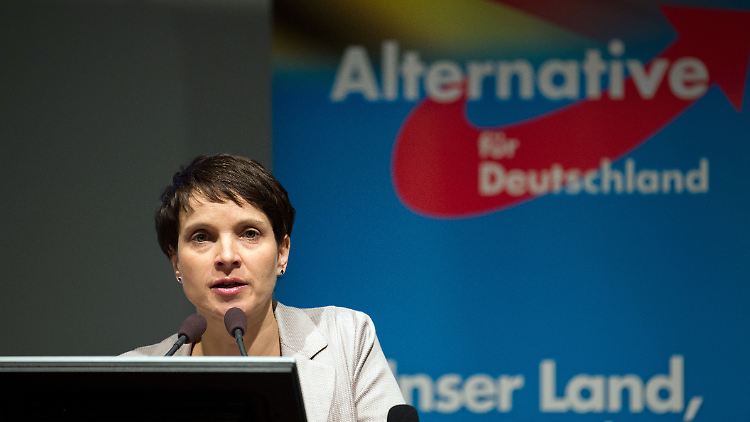 Man dürfe Anfeindungen nicht persönlich nehmen, sagt Frauke Petry, "sonst hält man es nicht lange aus".