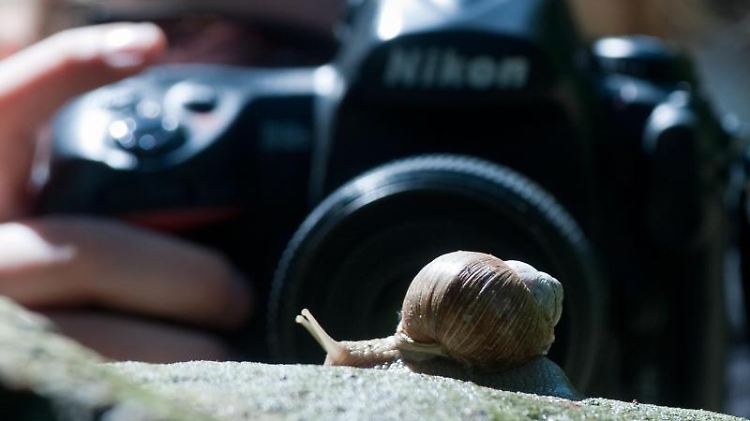 Für Fotos mit schönem Bokeh braucht man Systemkameras.