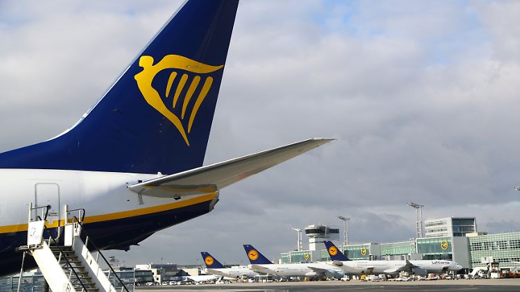 Ryanair-Maschinen auf dem Frankfurter Flughafen. Bald Seltenheitswert?