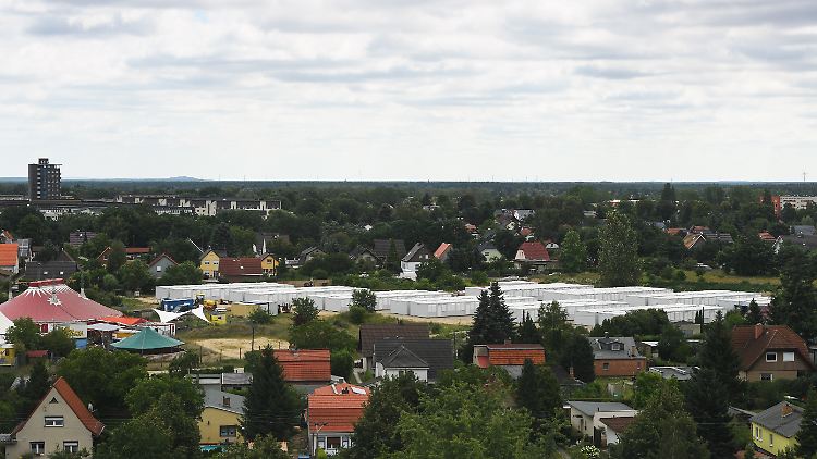 82146744.jpg