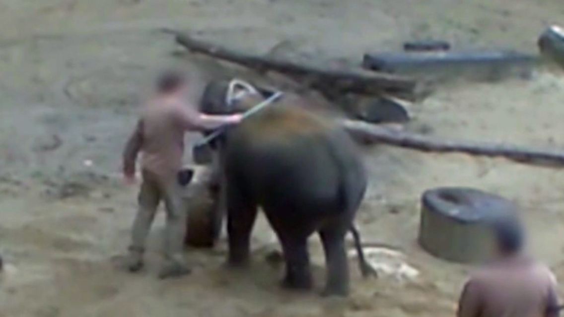 Peta-Zoo-Hannover.jpg