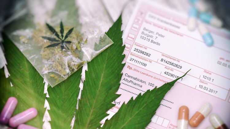 Cannabis auf Rezept gibt es in der bekannten Form getrockneter Blüten, aber inzwischen auch als Pillen.