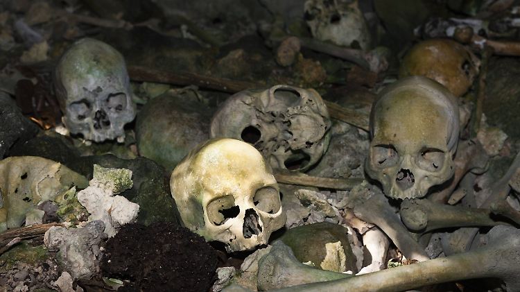 Fehlt bei einem ansonsten vollständigen Skelett die Schädelbasis, ziehen Fachleute Kannibalismus in Betracht. Denn womöglich wurde sie einst entfernt, um an das Gehirn zu kommen.