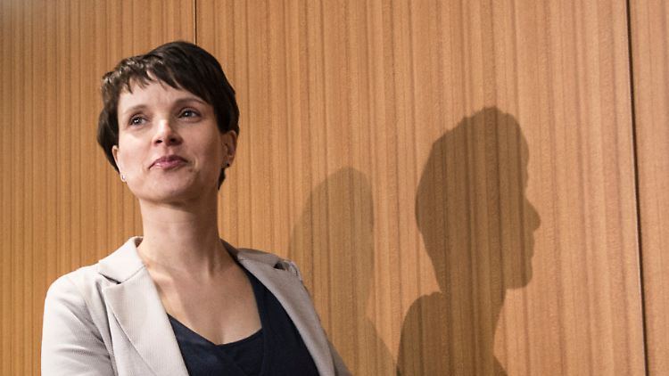 Frauke Petry bringt auf dem Bundesparteitag einen Antrag ein, der die Machtfrage in der Partei klären könnte.