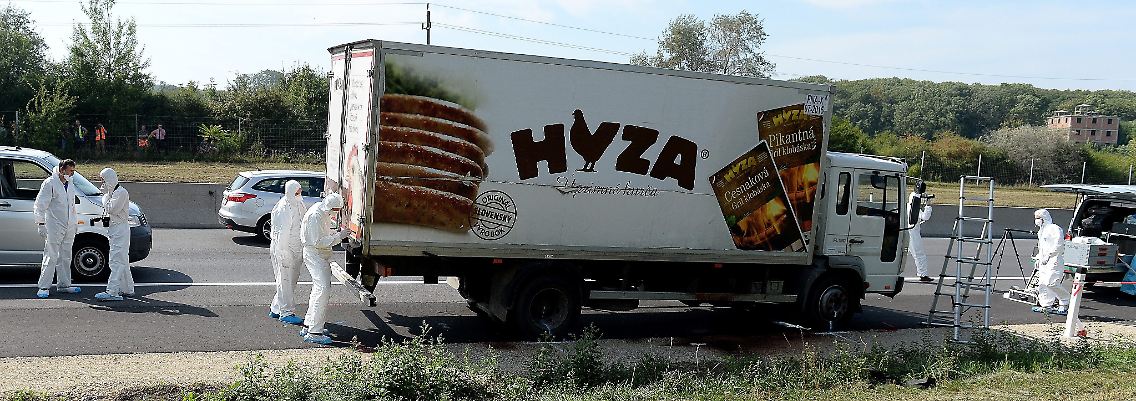 Ermittler untersuchen den LKW, in dem die 71 Leich en gefunden wurden.