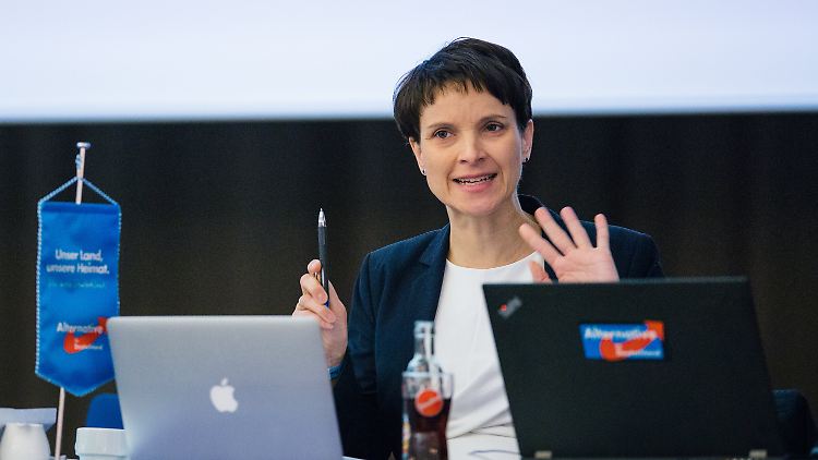Petry will eine Richtungsentscheidung erzwingen.