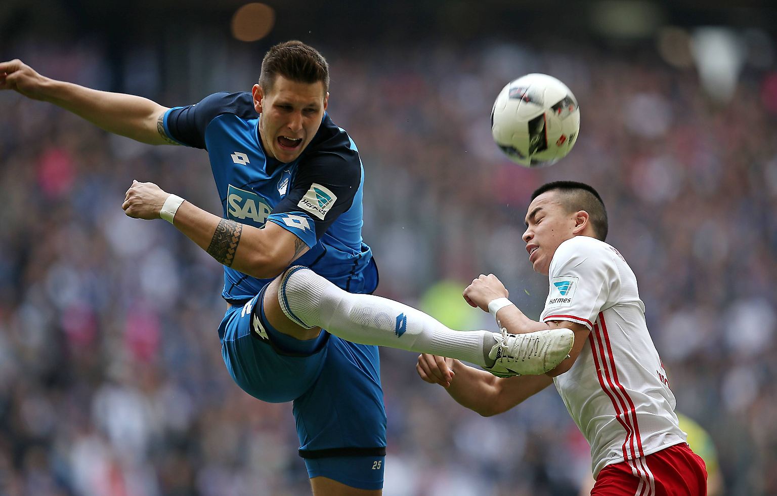 Hamburger SV - 1899 Hoffenheim 2:1 (1:1)