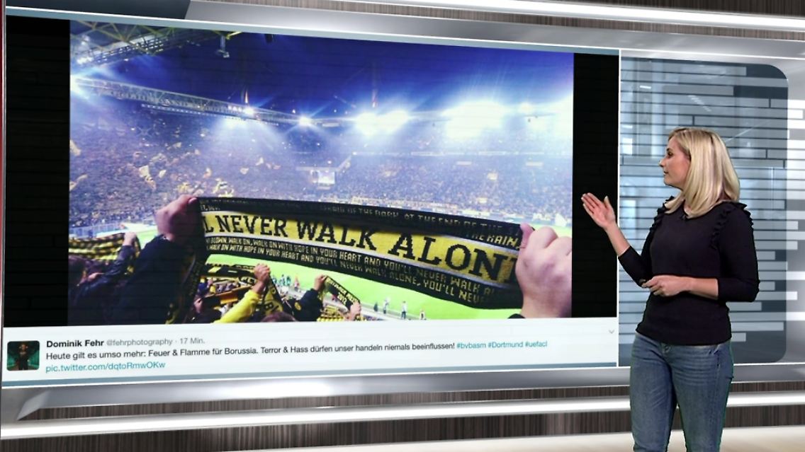 BVBNetz1.PNG