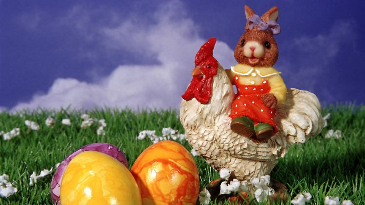 Der Hase auf einem Hahn? Meinetwegen auch das. 