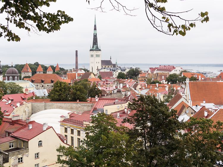 Talliin ist ein hübsches Städtchen mit einem mittelalterlichen Altstadtkern - und es gibt viele gute Restaurants.