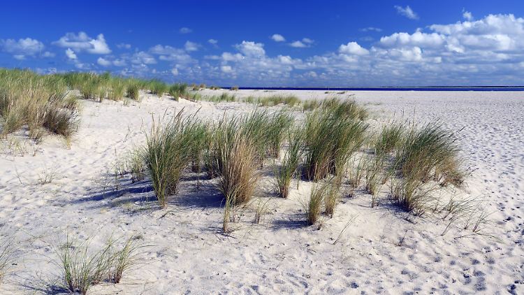 Sylt ist gut für alle, die gegen Pollen allergisch sind.