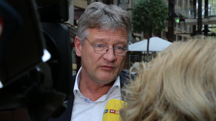 AfD-Chef Jörg Meuthen hält Co-Vorsitzende Frauke Petry für austauschbar.