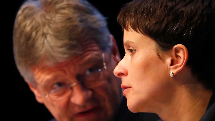 Zwischen den AfD-Parteivorsitzenden Jörg Meuthen und Frauke Petry tobt ein Machtkampf.