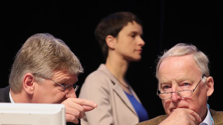 Petry ging angeschlagen aus dem ersten Tag in Köln hinaus. Bejubelt wurden dagegen Jörg Meuthen und Alexander Gauland.
