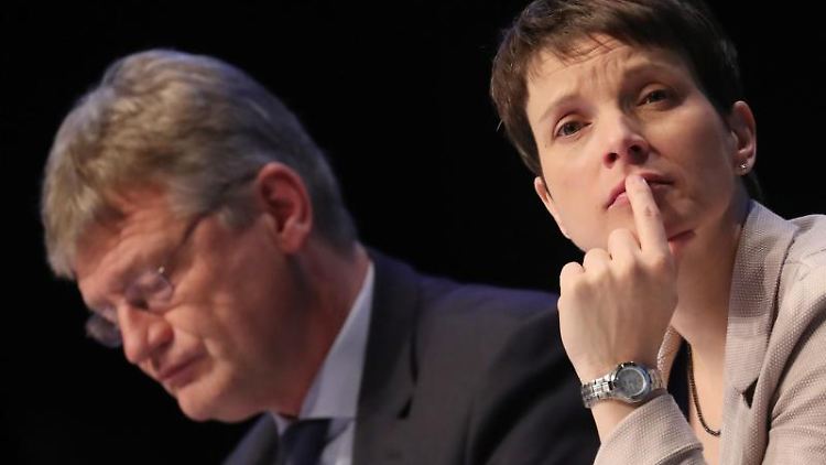 Die Zusammenarbeit mit Frauke Petry ist aus Sicht des AfD-Vorsitzenden "nicht ideal".