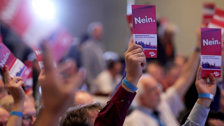 Nein - unter anderem - zu Flüchtlingen, erneuerbaren Energien und Gleichberechtigung Homosexueller heißt es im AfD Wahlprogramm. 