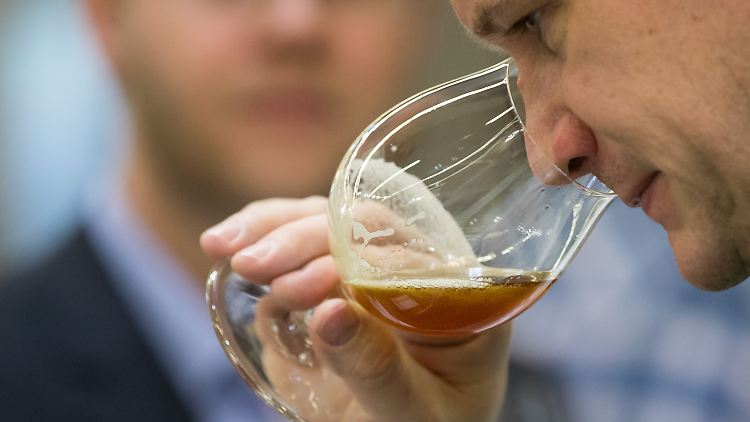 Spezialitätenbiere verzeichneten 2016 ein Umsatzplus von 8,1 Prozent.