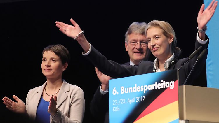 Für Frauke Petry war der Parteitag ein Debakel.