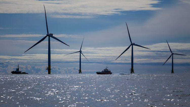 Im Jahr 2015 lieferten Windparks circa 13 Prozent der Bruttostromerzeugung in Deutschland.