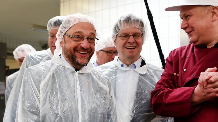 Fehlt ihm die große Bühne? Schulz besichtigt bei einem Wahlkampftermin eine Fischräucherei in Eckernförde.