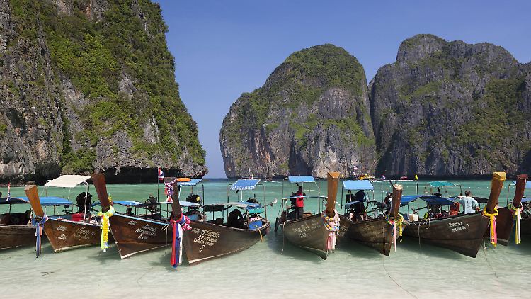 Die vielen Touristen belasten das Korallenriff.