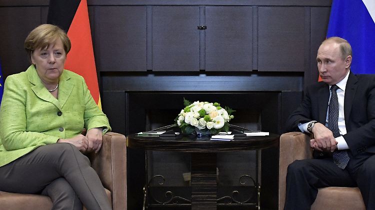 Putin empfing Merkel in seiner Sommerresidenz in Sotschi.