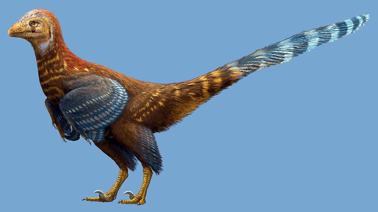 Computergrafik des vogelähnlichen Dinosauriers "Jianianhualong tengi".