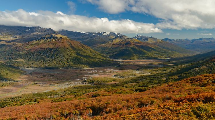 Roter Herbst auf Feuerland.