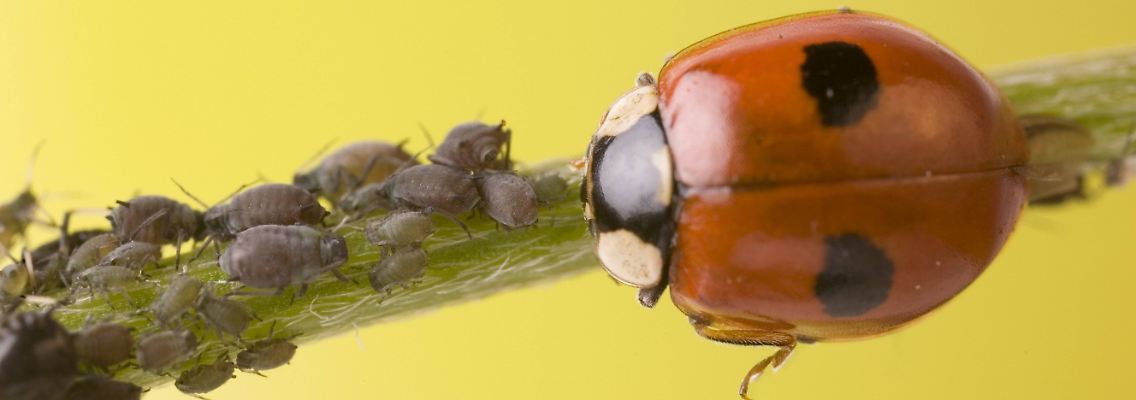 imago74709792h.jpg