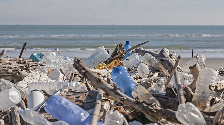 Angeschwemmt an der Adriaküste. Im Wasser wird das Plastik nach und nach in winzige Teile zerrieben.