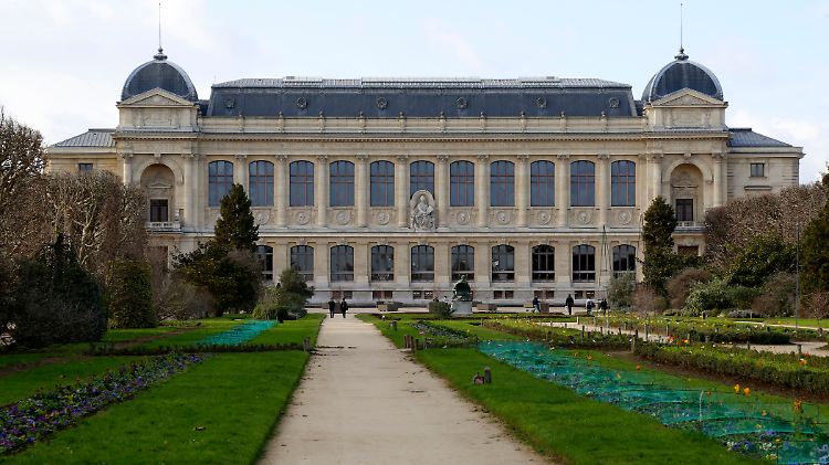 Die kostbare Sammlung stammte aus dem Musée National d'Histoire Naturelle in Paris.