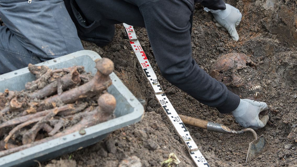 Sprengstoffexperten sind im Oderbruch auf ein Massengrab aus dem Zweiten Weltkrieg gestoßen.
