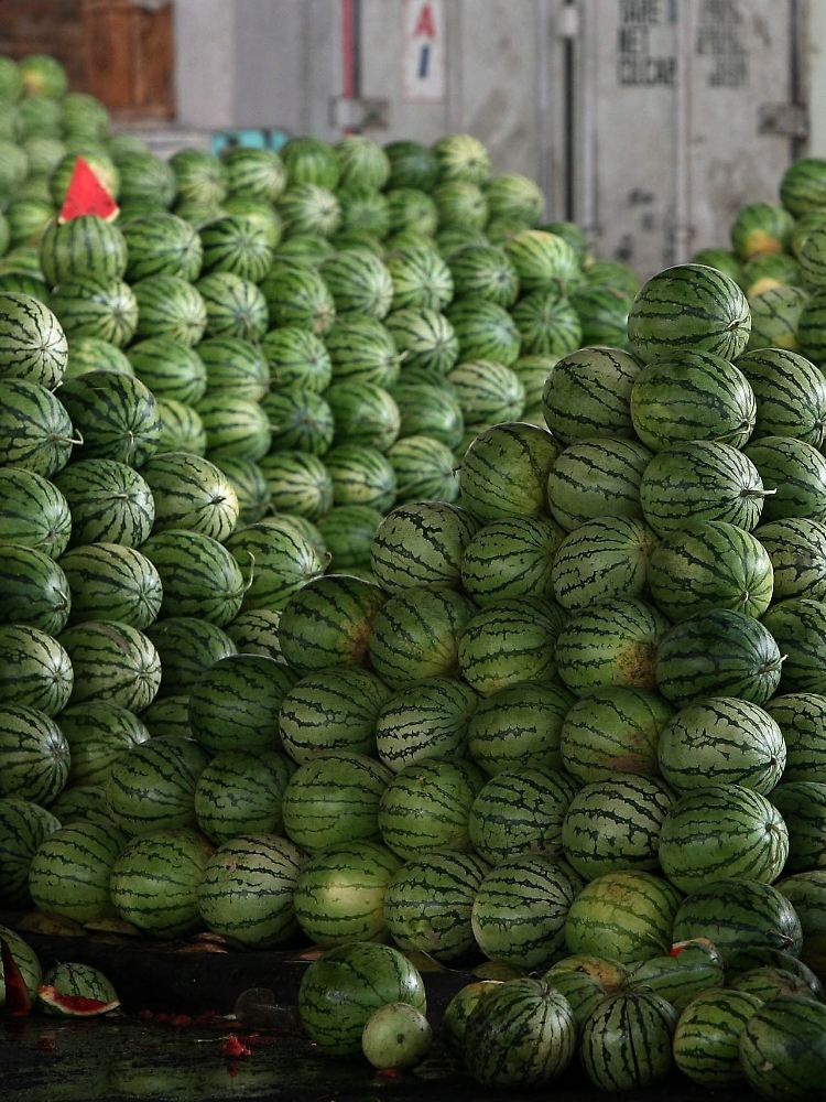 Offenbar sind Melonen der Auslöser der Erkrankung.