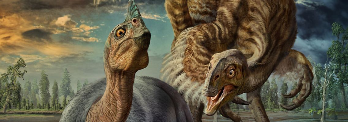Dino.jpg
