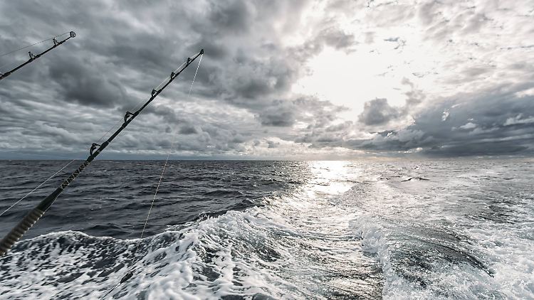 Fischfang vor der spanischen Küste. Die globalen Fischbestände und ihre Zukunft sind eines von 18 Themen im Meeresatlas 2017.