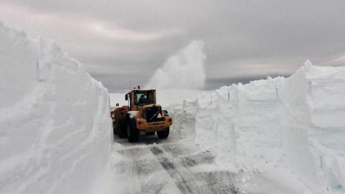 Schnee_Schweden.jpg