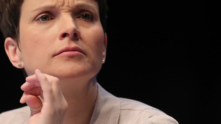 Frauke Petry ist innerhalb der AfD umstritten: Soll sie nun weggelobt werden?