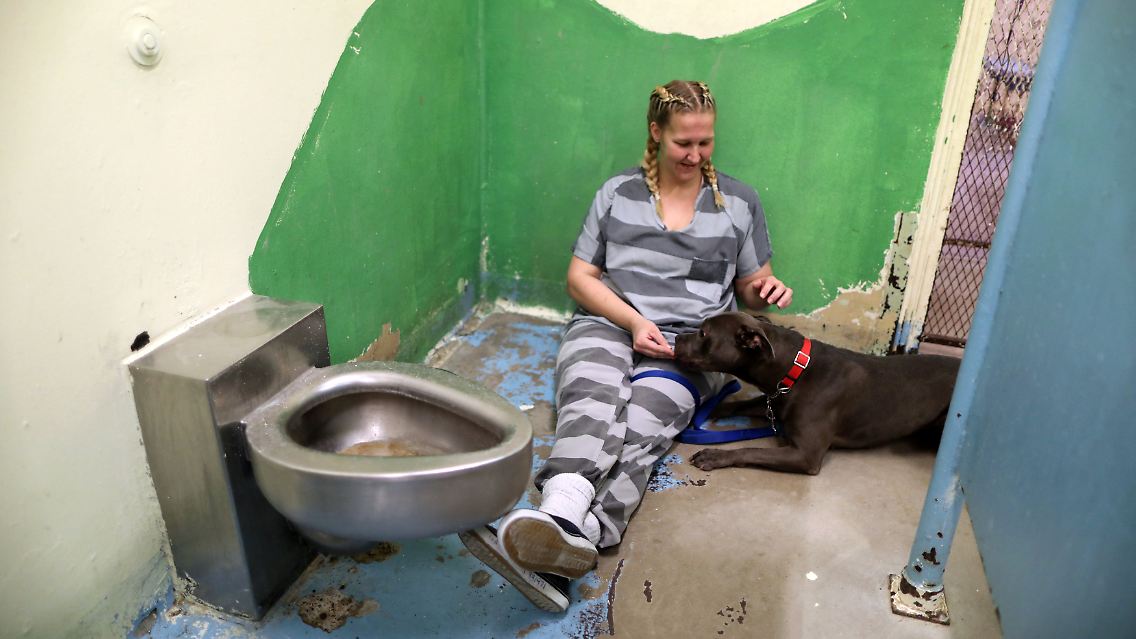 "Ich bekomme wahrscheinlich genauso viel davon wie die Hunde, wenn nicht mehr", sagt Hazelett.