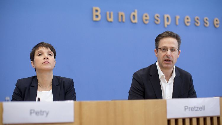 Frauke Petry und Marcus Pretzell wollen die AfD auf einen Kurs der Realpolitik bringen. Dafür sind sie innerhalb der Partei umstritten.