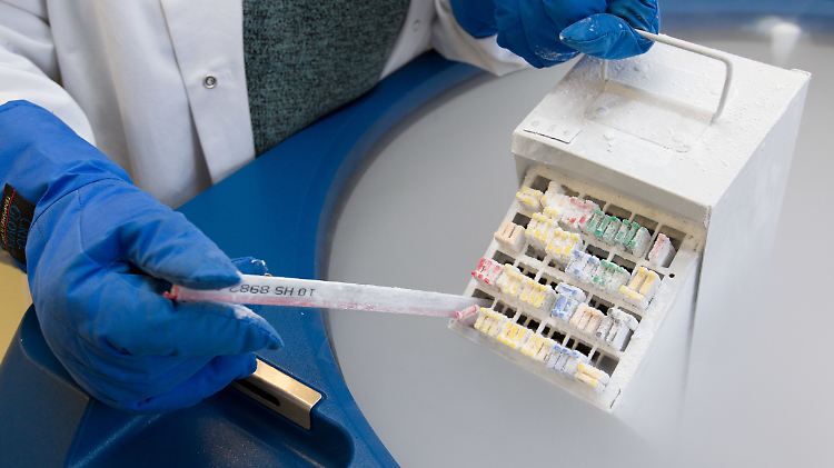 Samenspenden im Zentrum für Reproduktionsmedizin in Münster.