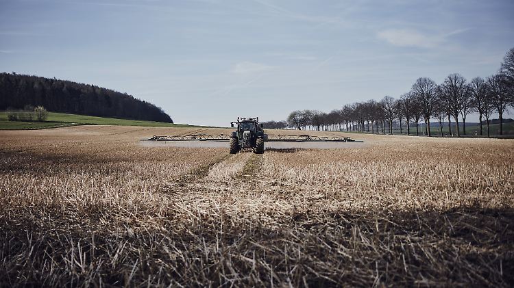 Wo man Glyphosat spritzt, werde alles Grün vernichtet, kritisieren Umweltschützer. Darunter leiden Insekten und Vögel.